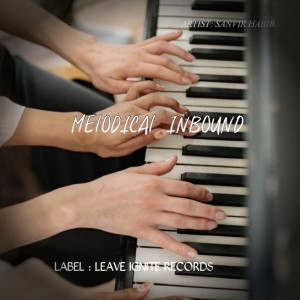 收听Sanvir Habib的MELODICAL INBOUND歌词歌曲