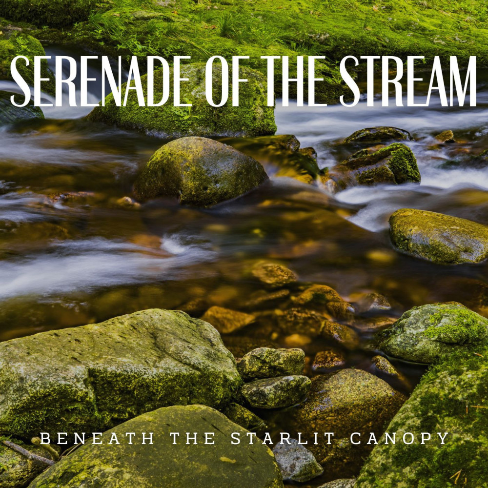 Harmony with the Stream's Grace