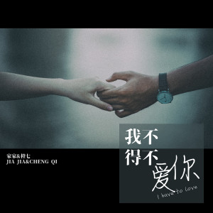 ดาวน์โหลดและฟังเพลง 我不得不愛你 (伴奏) พร้อมเนื้อเพลงจาก 家家