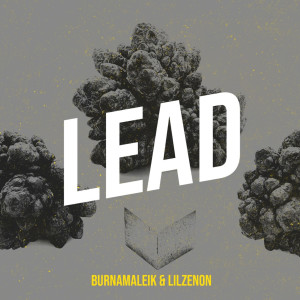 Album Lead (Explicit) from 