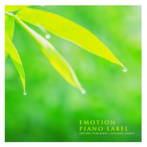 Various Artists的專輯Emotional Piano Making A Refreshing Commute