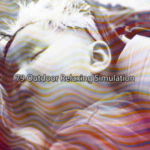 79 Outdoor Relaxing Simulation