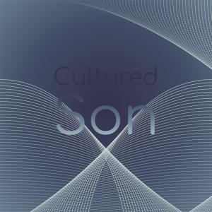 收听Deano Aria的Losingly Regulating歌词歌曲