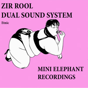 Dengarkan Etnic (Original Mix) lagu dari Zir Rool dengan lirik