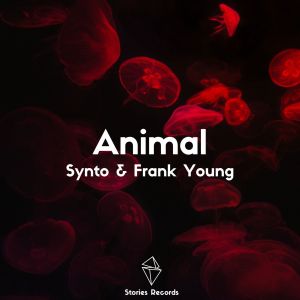 Dengarkan Animal lagu dari Synto dengan lirik