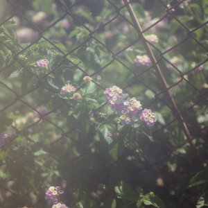 ดาวน์โหลดและฟังเพลง Memories พร้อมเนื้อเพลงจาก llll