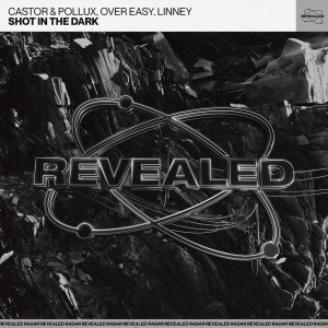 ดาวน์โหลดและฟังเพลง Shot In The Dark (Extended Mix) พร้อมเนื้อเพลงจาก Castor & Pollux