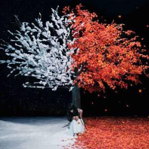 Aimer的專輯Akane Sasu / Everlasting Snow - EP