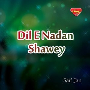 Dengarkan Dil-e-Nadan Shawey lagu dari Saif Jan dengan lirik