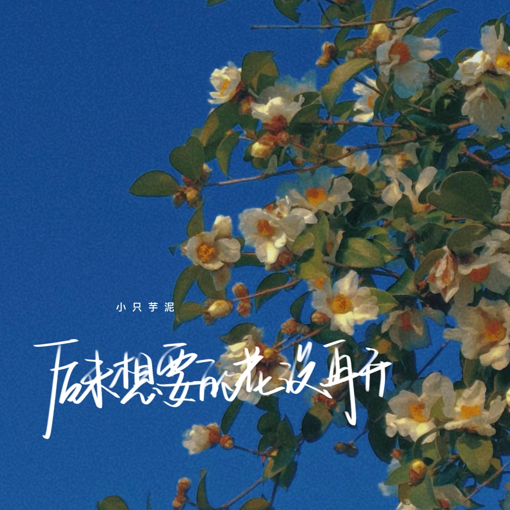 后来想要的花没再开 (伴奏)