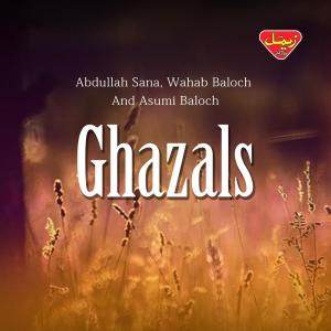Abdullah Sana的专辑Ghazals