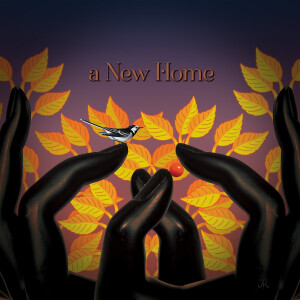 Laughing Stock的專輯A New Home