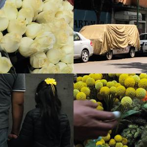 Listen to Omisiones (Cosas Que No Se Dicen) song with lyrics from Hacienda