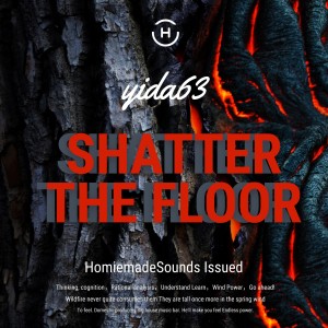 Album Shatter The Floor from Yida63