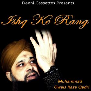 Dengarkan Marhaba Ya Mustafaa lagu dari Muhammad Owais Raza Qadri dengan lirik