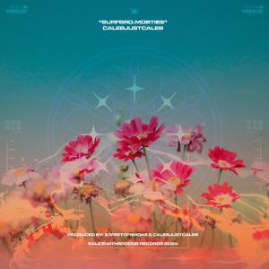 收聽Calebjustcaleb的SURFBRO.MOBTIES (feat. Aim High) (Explicit)歌詞歌曲