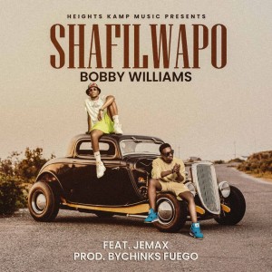 Bobby Williams Zambia的專輯Shafilwapo (Explicit)