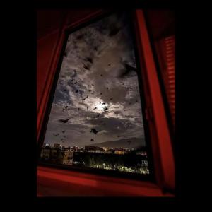 收聽shoruda的needed me (Explicit)歌詞歌曲