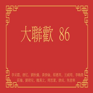 Album 大聯歡86 from Various Artist