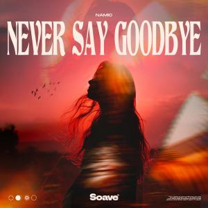 Namic的專輯Never Say Goodbye
