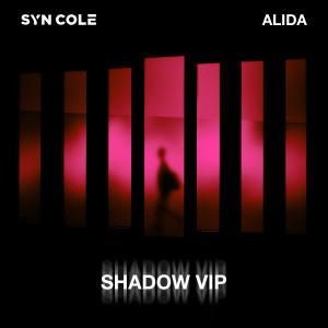 Syn Cole的專輯Shadow (VIP Mix)