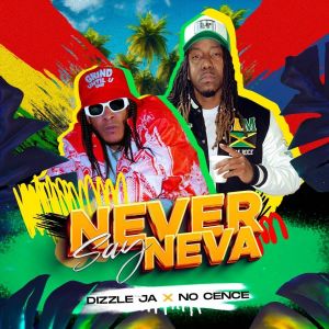 收聽Dizzle Ja的Never Say Neva歌詞歌曲