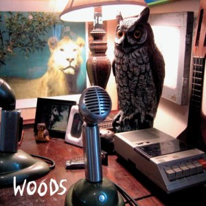 ดาวน์โหลดและฟังเพลง Love Song For Pigeons พร้อมเนื้อเพลงจาก Woods