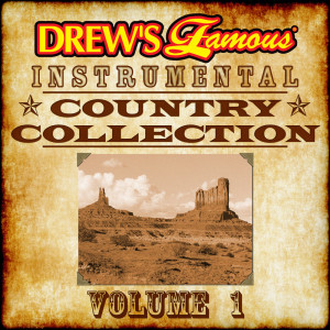 ดาวน์โหลดและฟังเพลง You're Gonna Miss Me When I'm Gone (Instrumental) พร้อมเนื้อเพลงจาก The Hit Crew