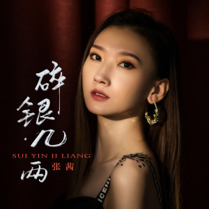 ดาวน์โหลดและฟังเพลง 碎银几两 พร้อมเนื้อเพลงจาก 张茜