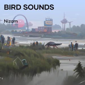 อัลบัม Bird Sounds ศิลปิน Nizam