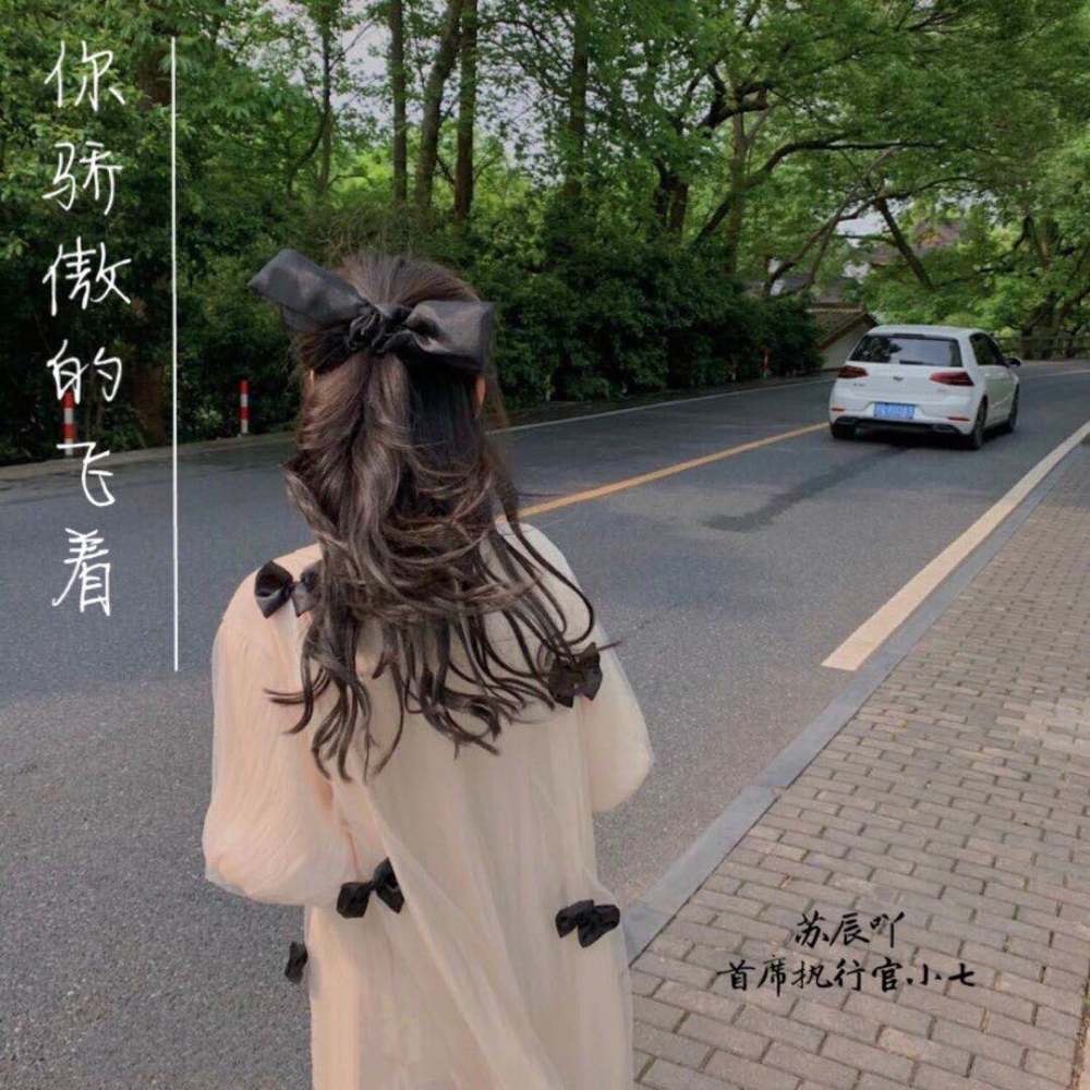 你骄傲的飞远