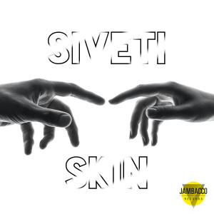 Album Skin (Radio Edit) from 