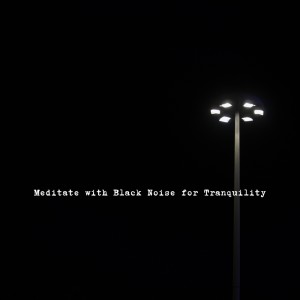 ดาวน์โหลดและฟังเพลง Meditation and Black Noise for Peace พร้อมเนื้อเพลงจาก Sleep Sound Factory
