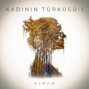 Listen to Ben Bugün Bir Şey İşittim (Kadının Türküsü) song with lyrics from Feryal Öney