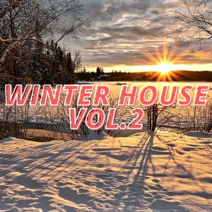 Listen to House Cocktail (Squared Mix) song with lyrics from Loris Falk