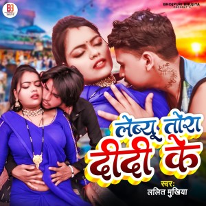 ดาวน์โหลดและฟังเพลง Lebyu Tora Didi Ke พร้อมเนื้อเพลงจาก Lalit Mukhiya