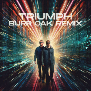 Listen to Triumph (Burr Oak Remix) song with lyrics from Neonlight