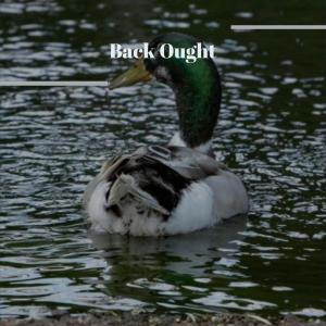 Listen to Thusly Turbulent song with lyrics from Emir Hary