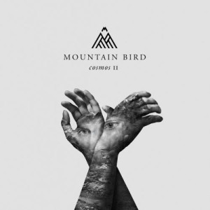 ดาวน์โหลดและฟังเพลง Prison พร้อมเนื้อเพลงจาก Mountain Bird