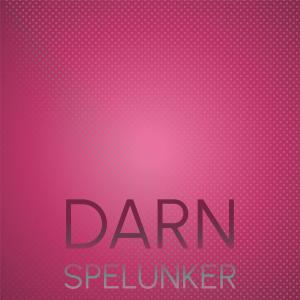 Album Darn Spelunker from Various