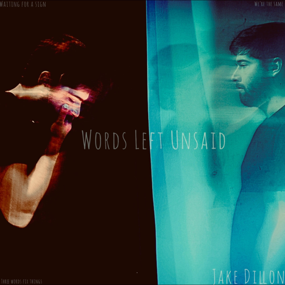 Words Left Unsaid