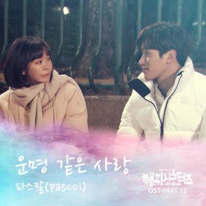 Listen to 운명 같은 사랑 (Inst.) song with lyrics from PASCOL