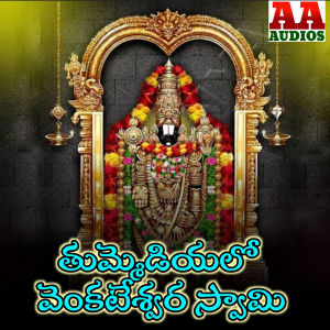 Album Thummediyalo Venkateshwara Swamy from Rama Devi