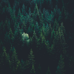 Listen to All Night song with lyrics from Spa Music Relaxation