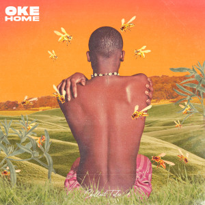 Listen to Home (ká lọ sílé) song with lyrics from Oke