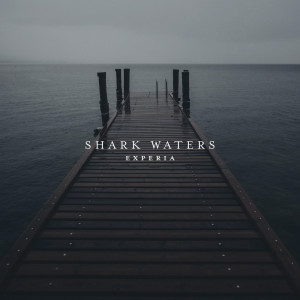 Shark Waters