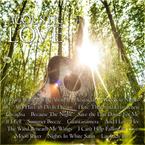 ดาวน์โหลดและฟังเพลง If พร้อมเนื้อเพลงจาก Acoustic Moods Ensemble