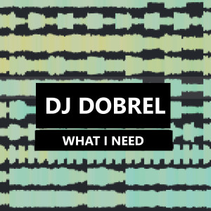 收聽DJ DobreL的What I Need歌詞歌曲