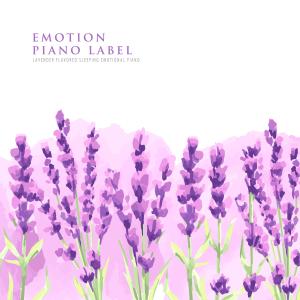 Album Lavender Flavored Sleeping Emotional Piano from Korea Various Artists