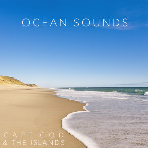 收听Ocean Sounds的Cisco Beach歌词歌曲